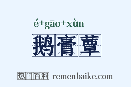 鹅膏蕈是什么意思的图片